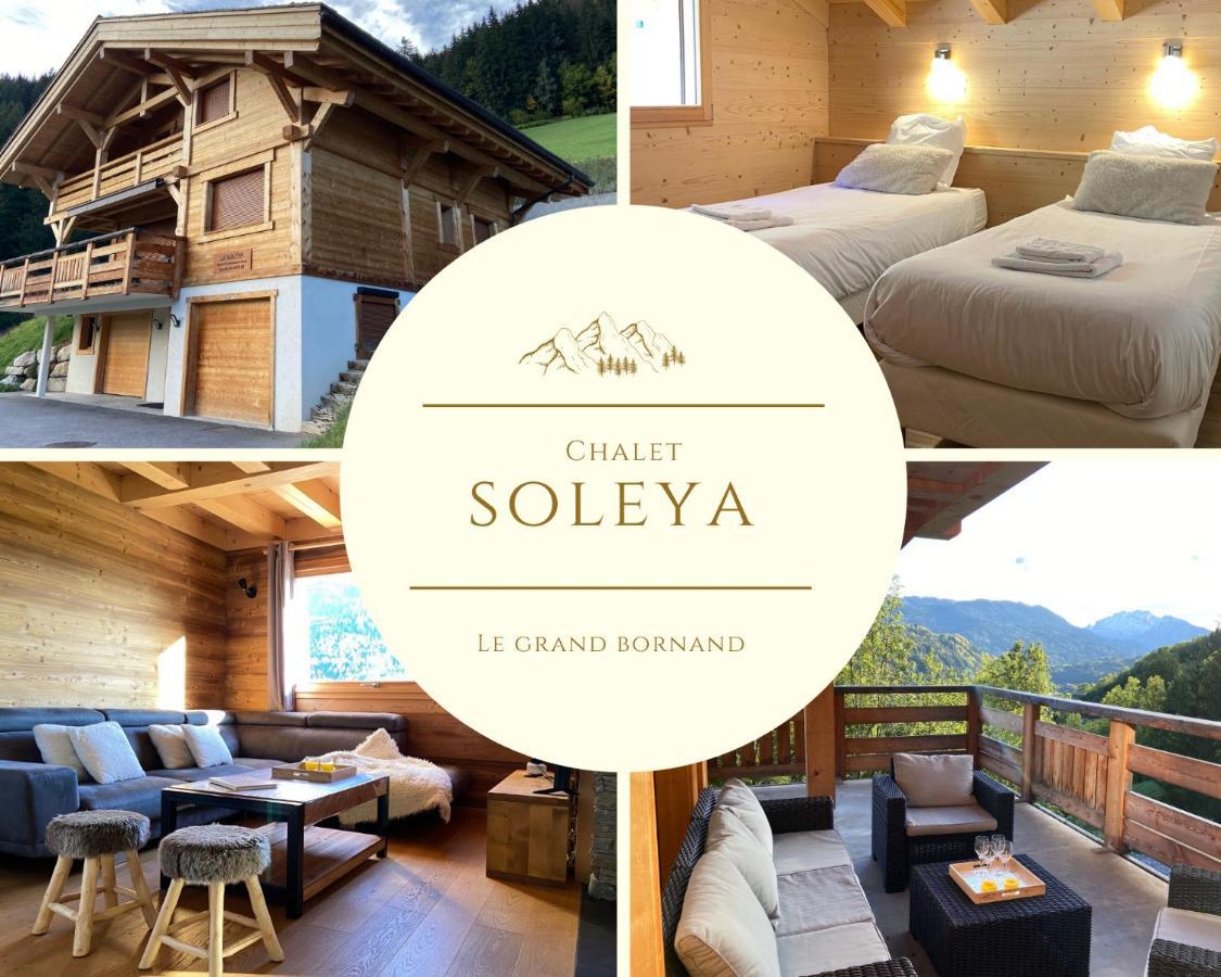 Chalet Soleya ル・グラン・ボルナン エクステリア 写真
