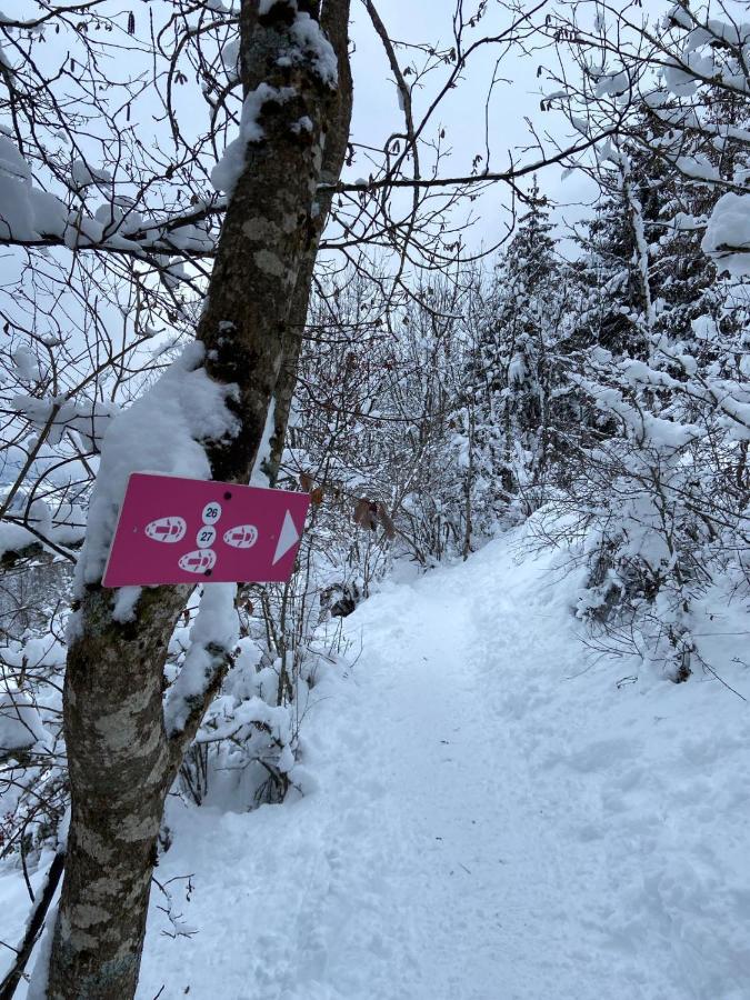 Chalet Soleya ル・グラン・ボルナン エクステリア 写真