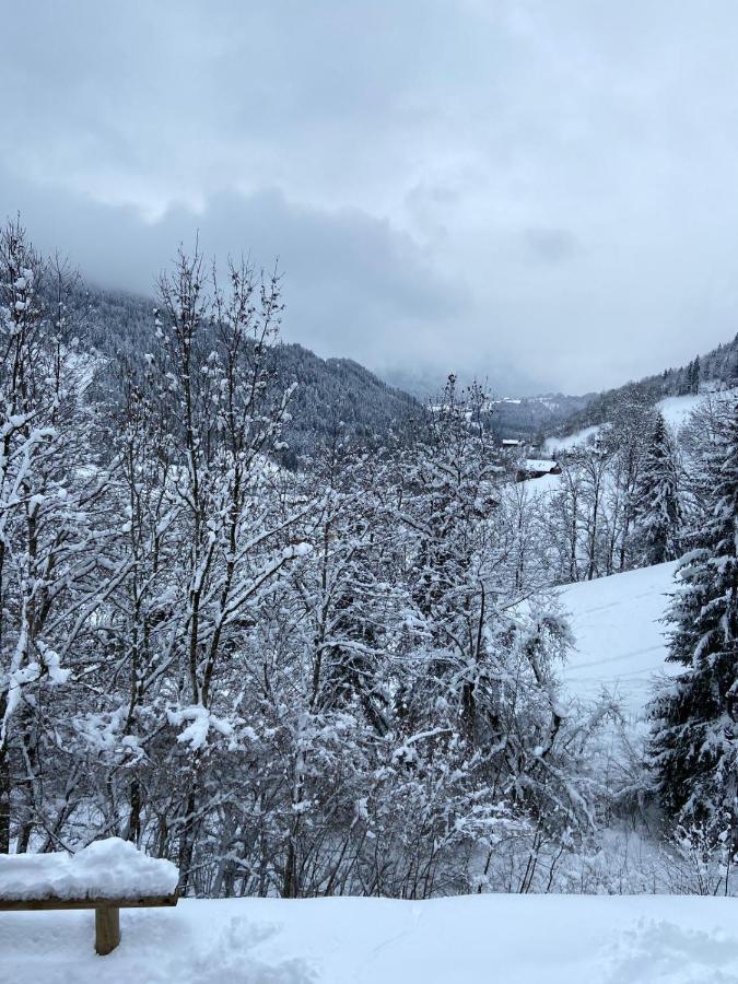 Chalet Soleya ル・グラン・ボルナン エクステリア 写真